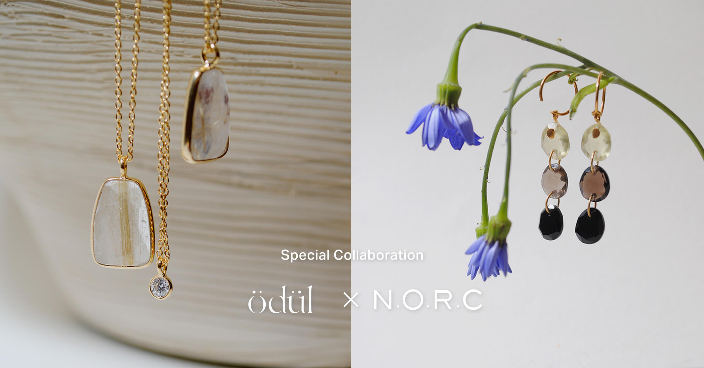 Special Collaboration ödül × N.O.R.C
