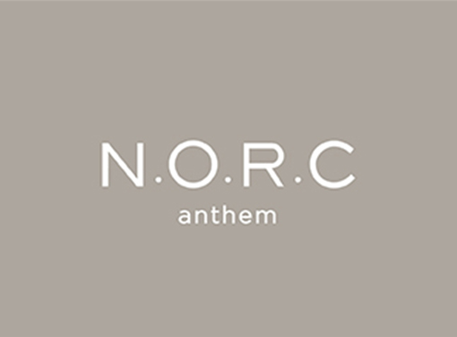 N.O.R.C anthemのバナー