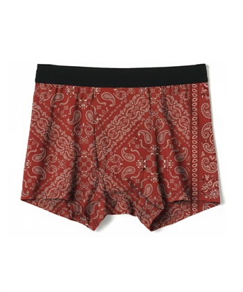 【KEEPGUARD/キープガード】Newボクサーパンツ 尿漏れ 失禁 メンズ ナノファイン加工(ペイズリー赤-Ｍ)