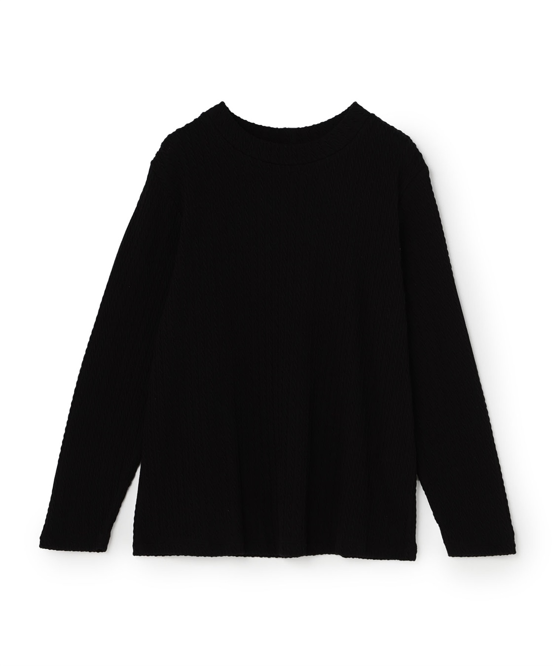 anyfee 【anyfee/プラスサイズ】プチハイネックTシャツ_variation_1