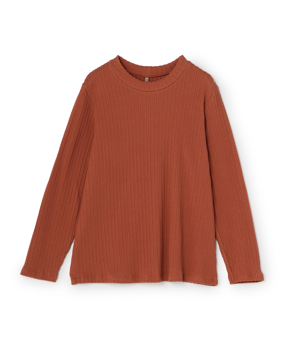 anyfee 【anyfee/プラスサイズ】プチハイネックTシャツ_variation_2