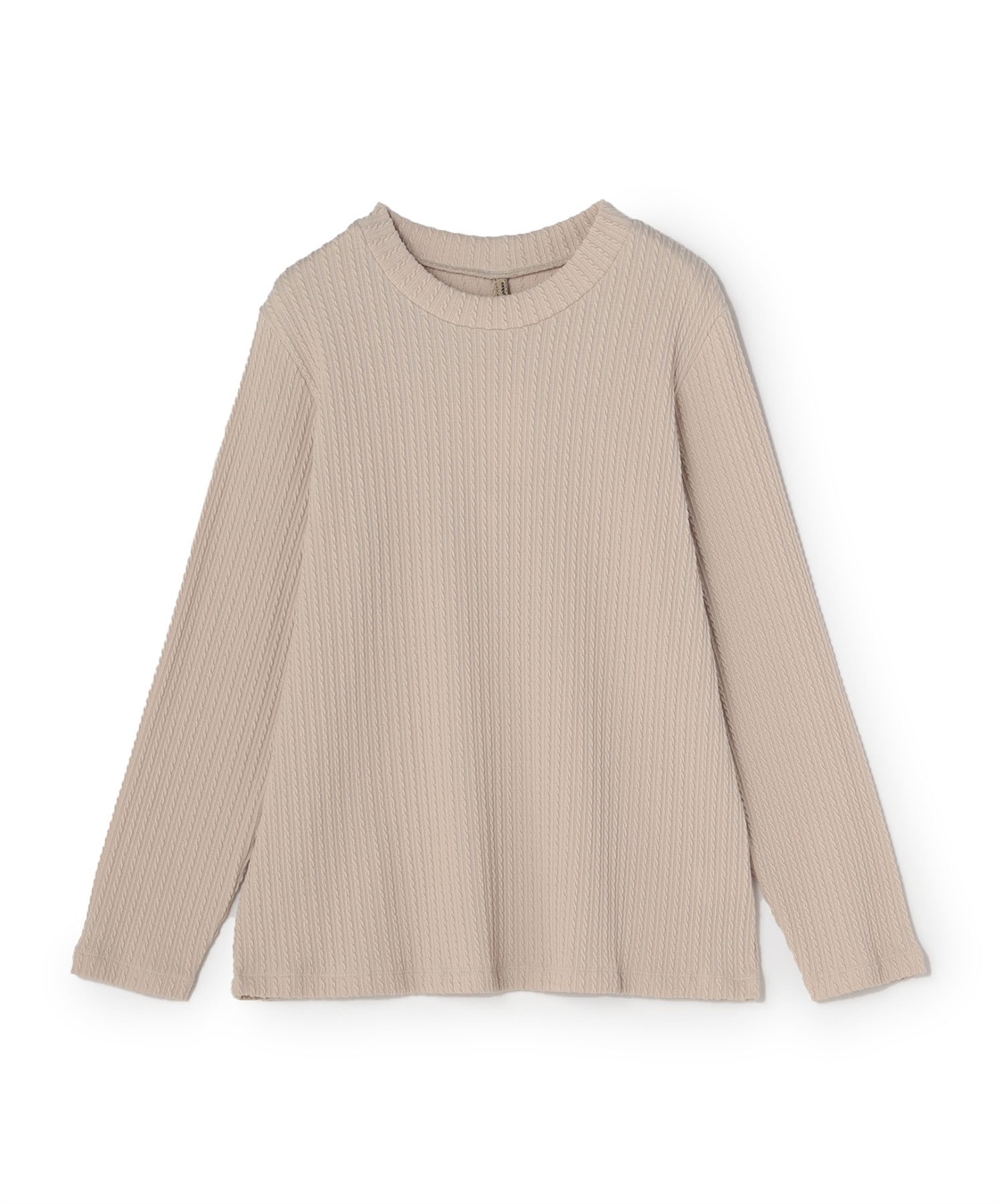 anyfee 【anyfee/プラスサイズ】プチハイネックTシャツ_variation_3