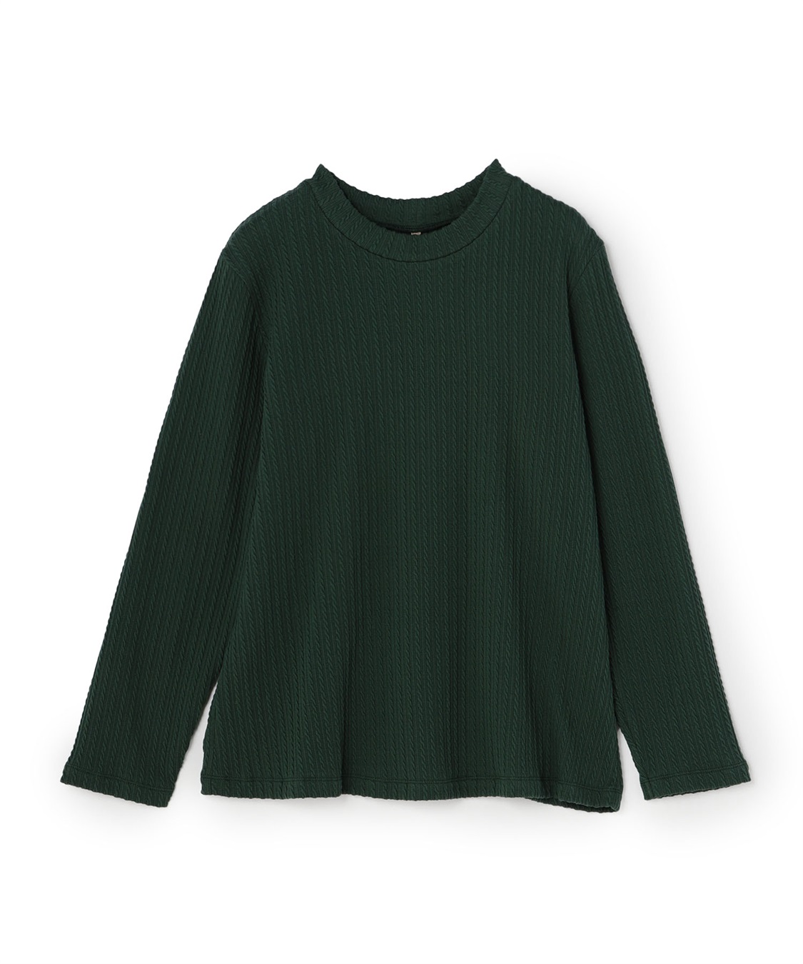 anyfee 【anyfee/プラスサイズ】プチハイネックTシャツ_variation_4