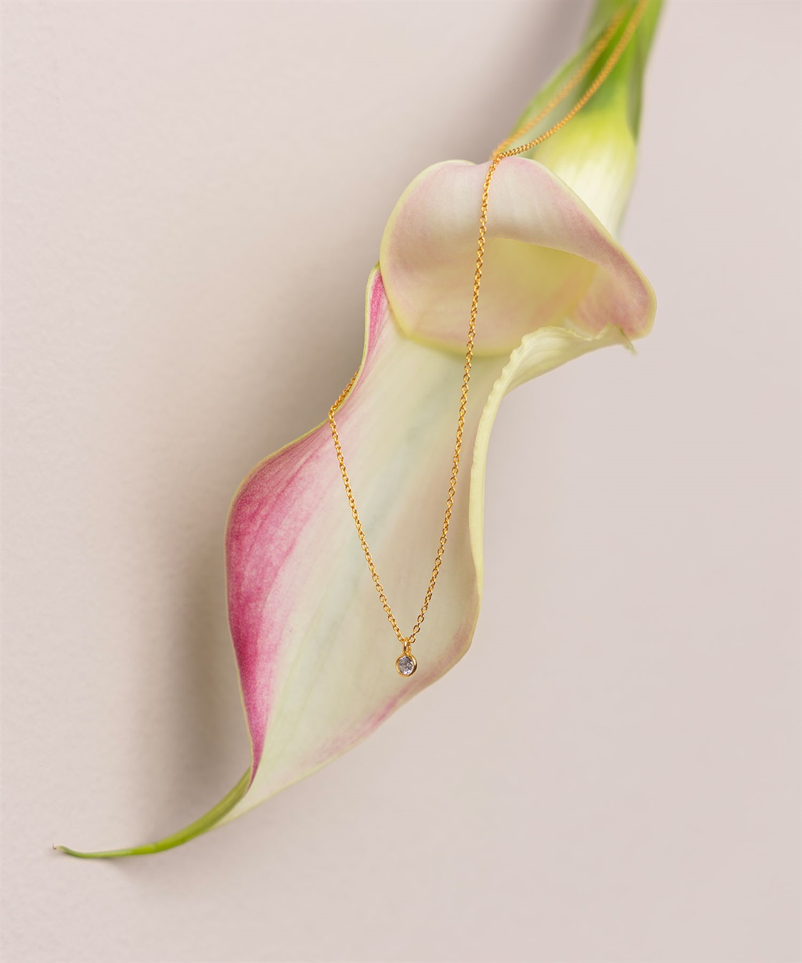 N.O.R.C 【別注】odul SMALL CIRCLE NECKLACE_main