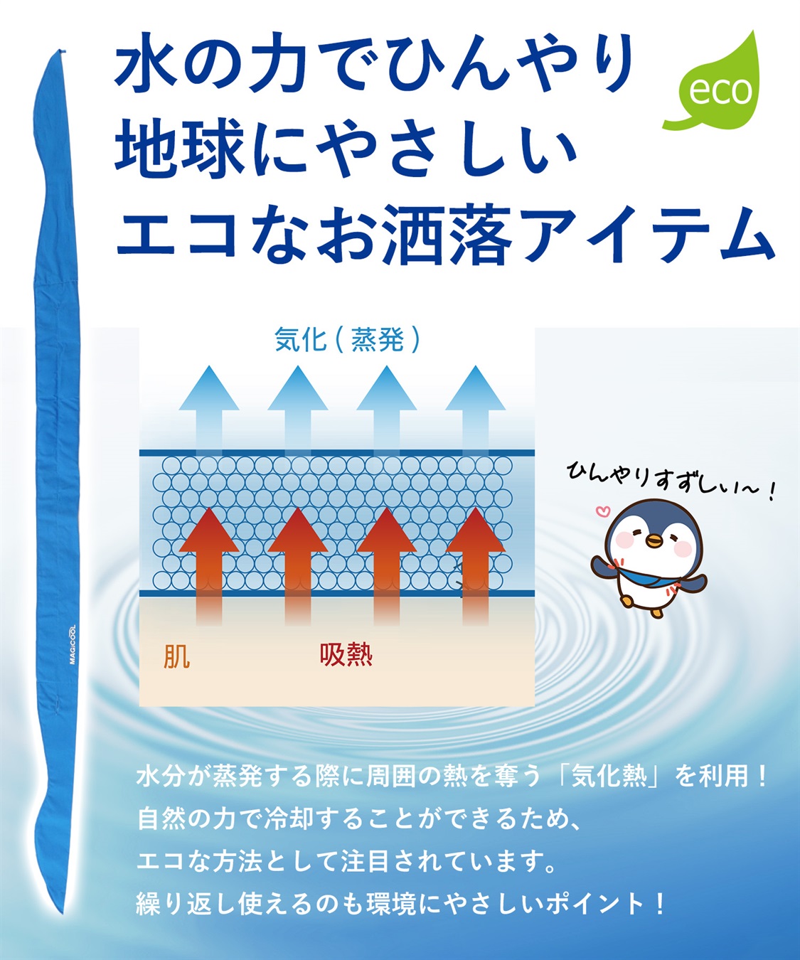 MFA-2407p-640x480.jpg