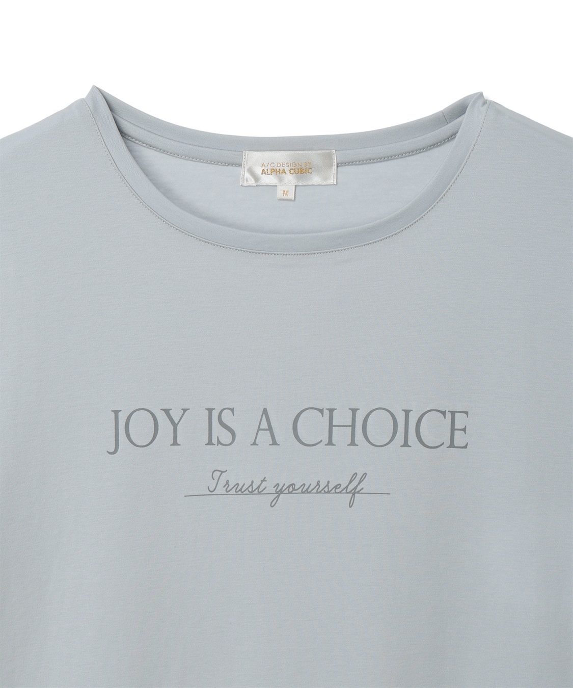 A/C DESIGN BY ALPHA CUBIC ロゴ Tシャツ【スゴつや】_sub_11