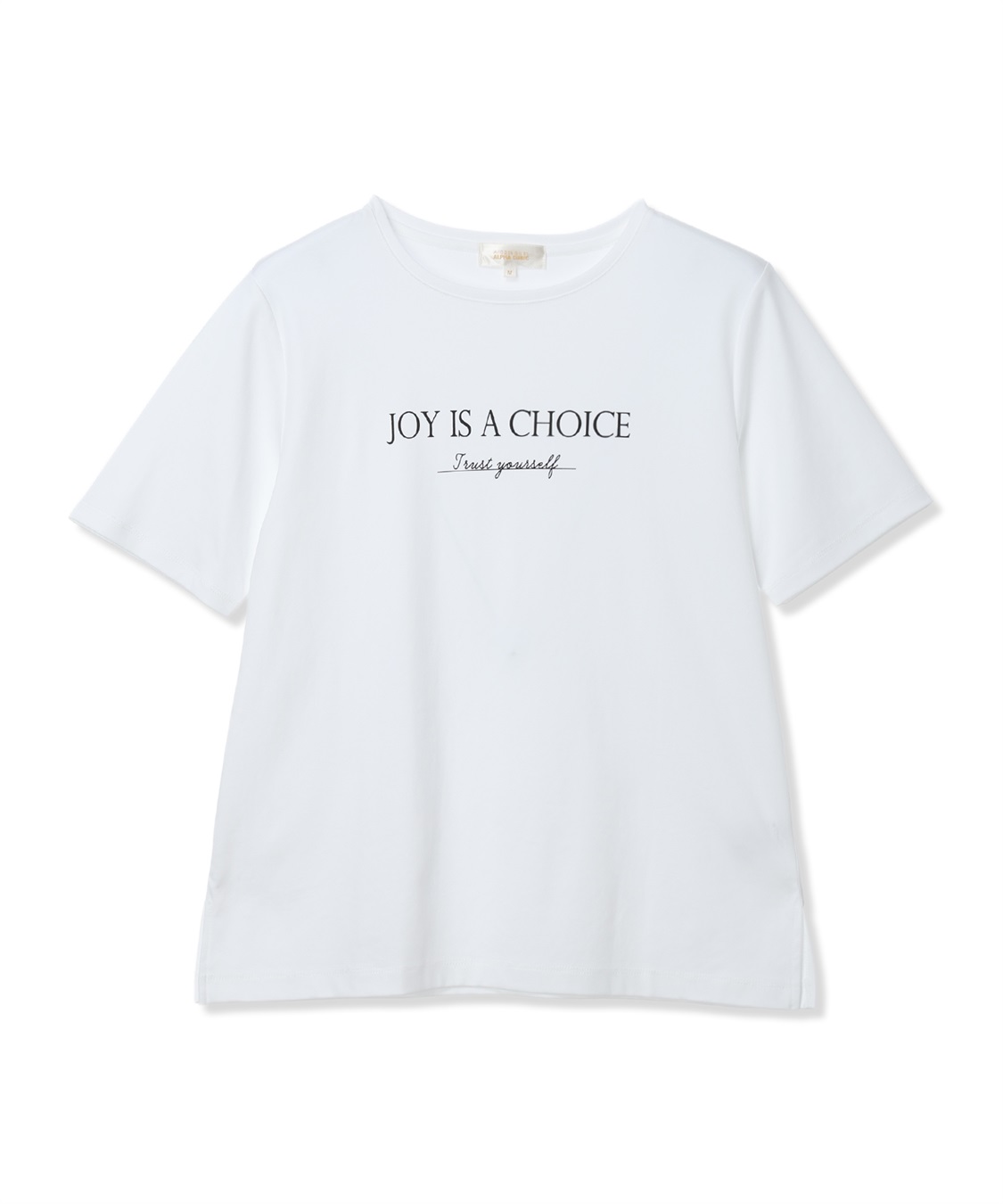 A/C DESIGN BY ALPHA CUBIC ロゴ Tシャツ【スゴつや】_sub_17