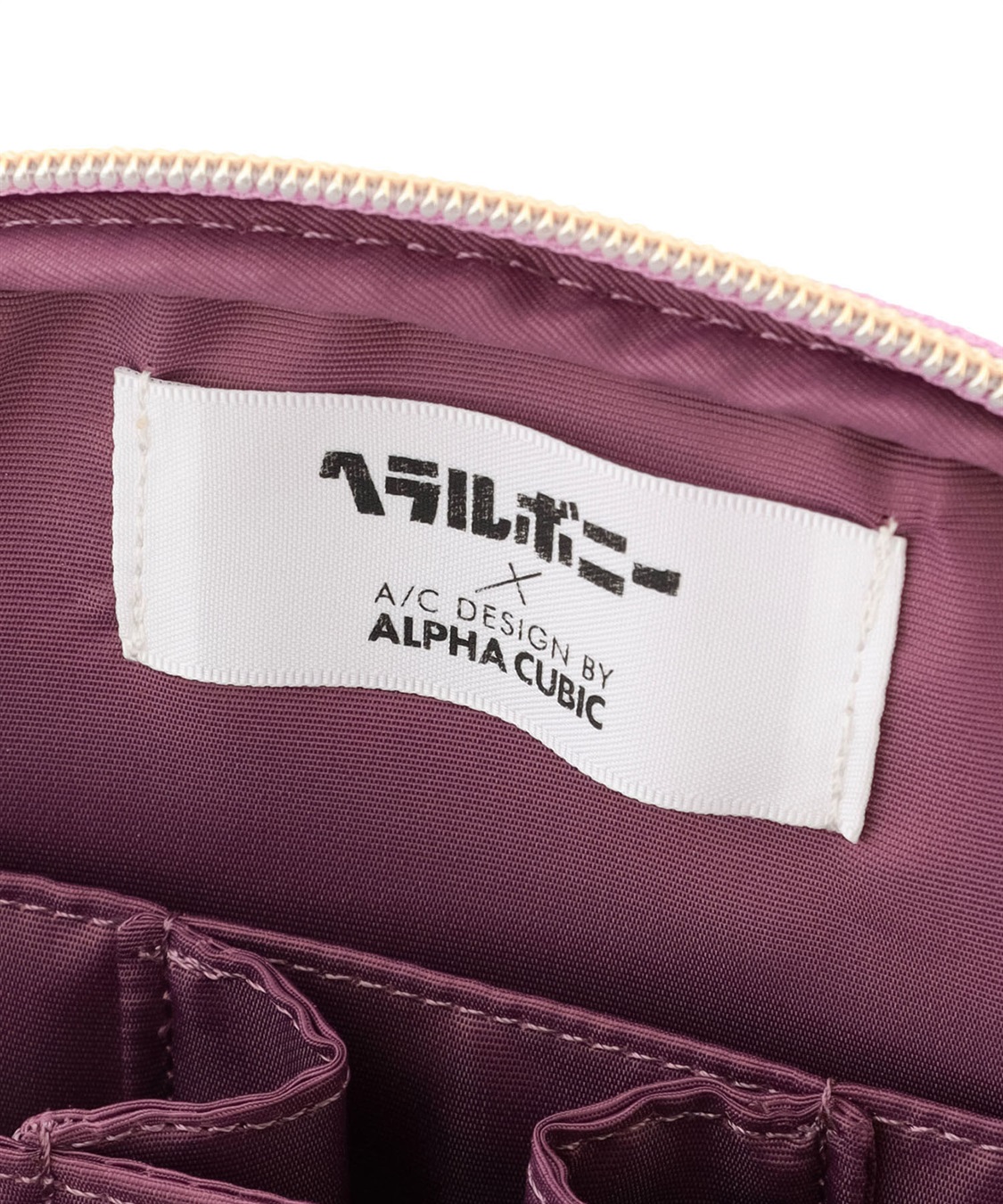ヘラルボニーコラボ】ペンケース A/C DESIGN BY ALPHA CUBIC