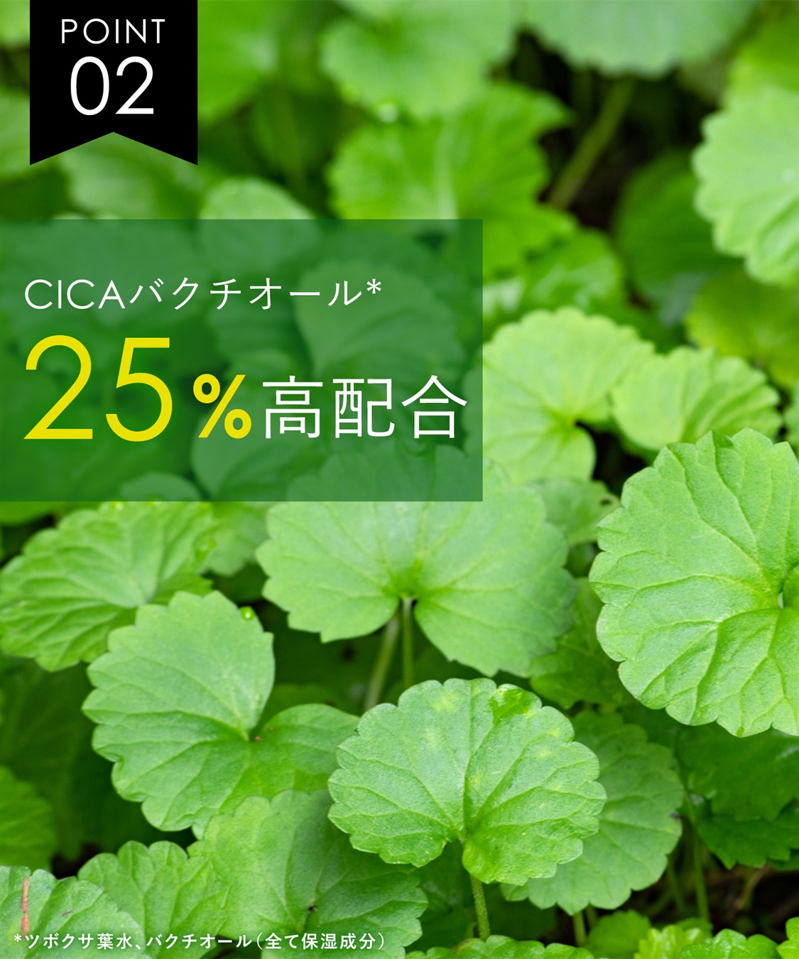 ダーマシェア バクチオールスティック美容液 DERMASHARE｜クロス