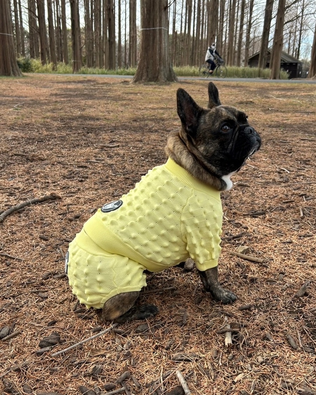 Cul-B   【for dog】ドリアントップス  cul-b/キューブ/愛犬服_sub_14