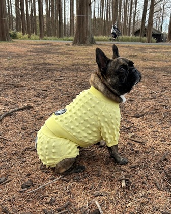 Cul-B   【for dog】ドリアントップス  cul-b/キューブ/愛犬服_subthumb_14