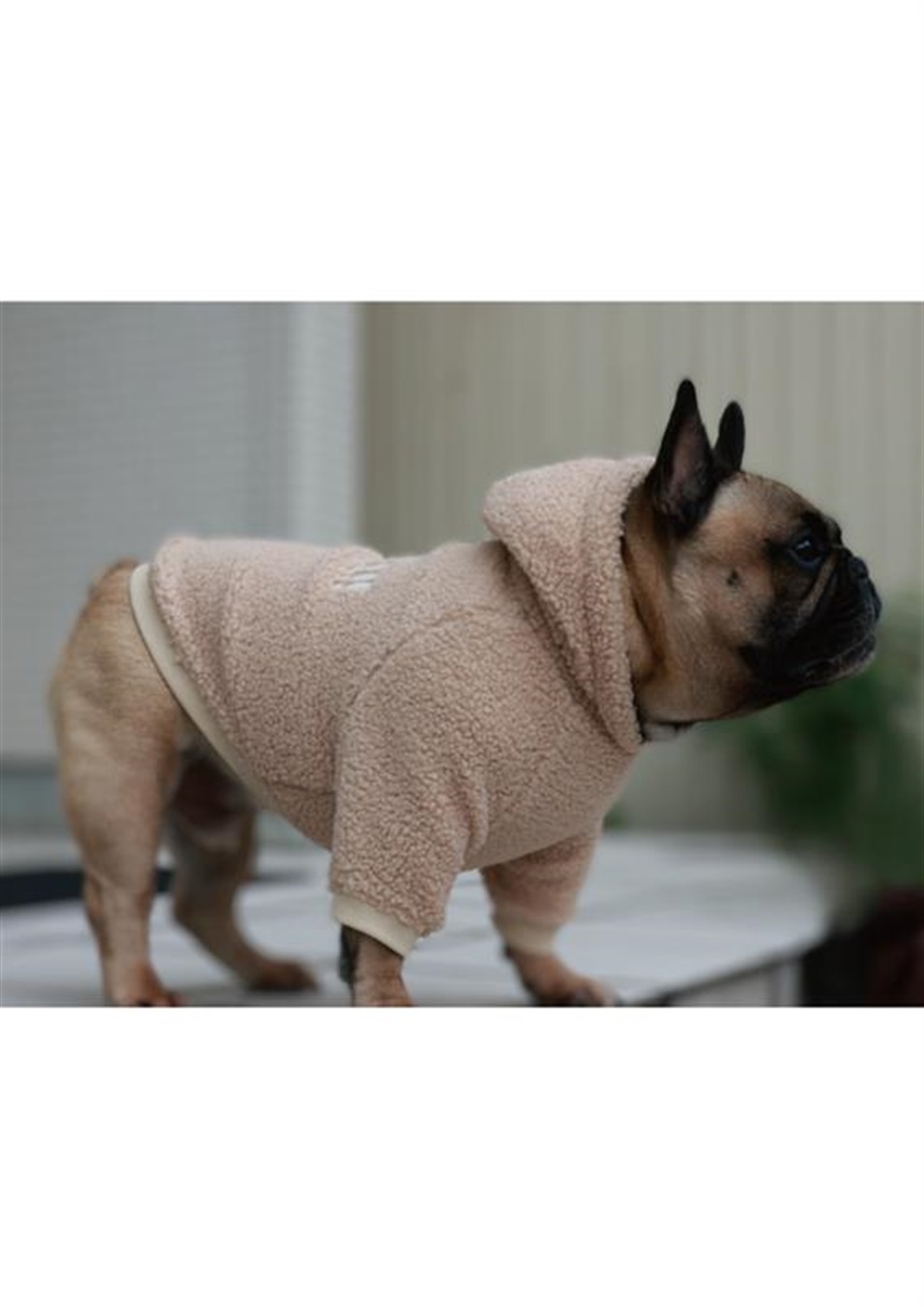 Cul-B 【for dogs】ボアドッグパーカー cul-b/キューブ/愛犬服_sub_11