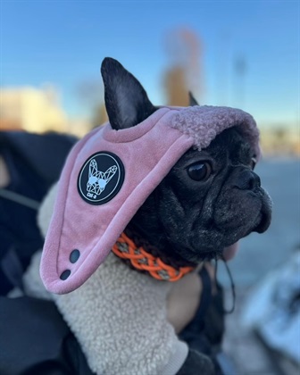 Cul-B 【for dogs】ボアフライトキャップ  cul-b/キューブ/愛犬服_subthumb_6