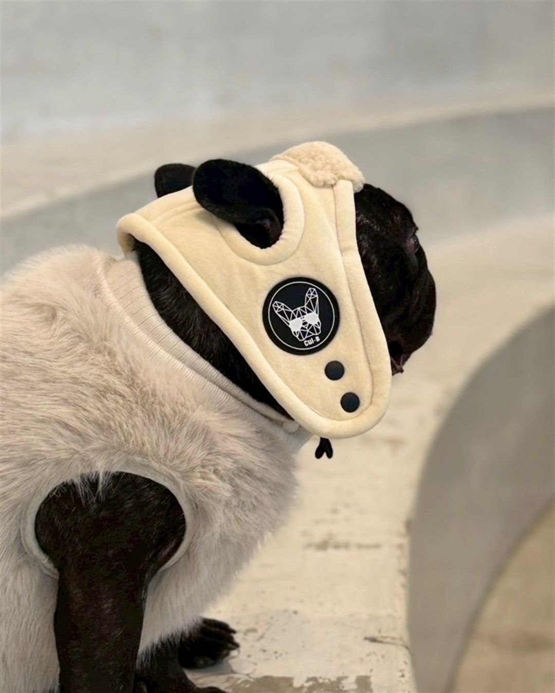 Cul-B 【for dogs】ボアフライトキャップ  cul-b/キューブ/愛犬服_sub_7