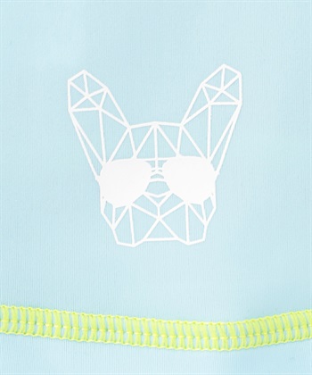 Life Style by cross marche 【for dog】New ラッシュガード　Cul-B/キューブ/愛犬_subthumb_5