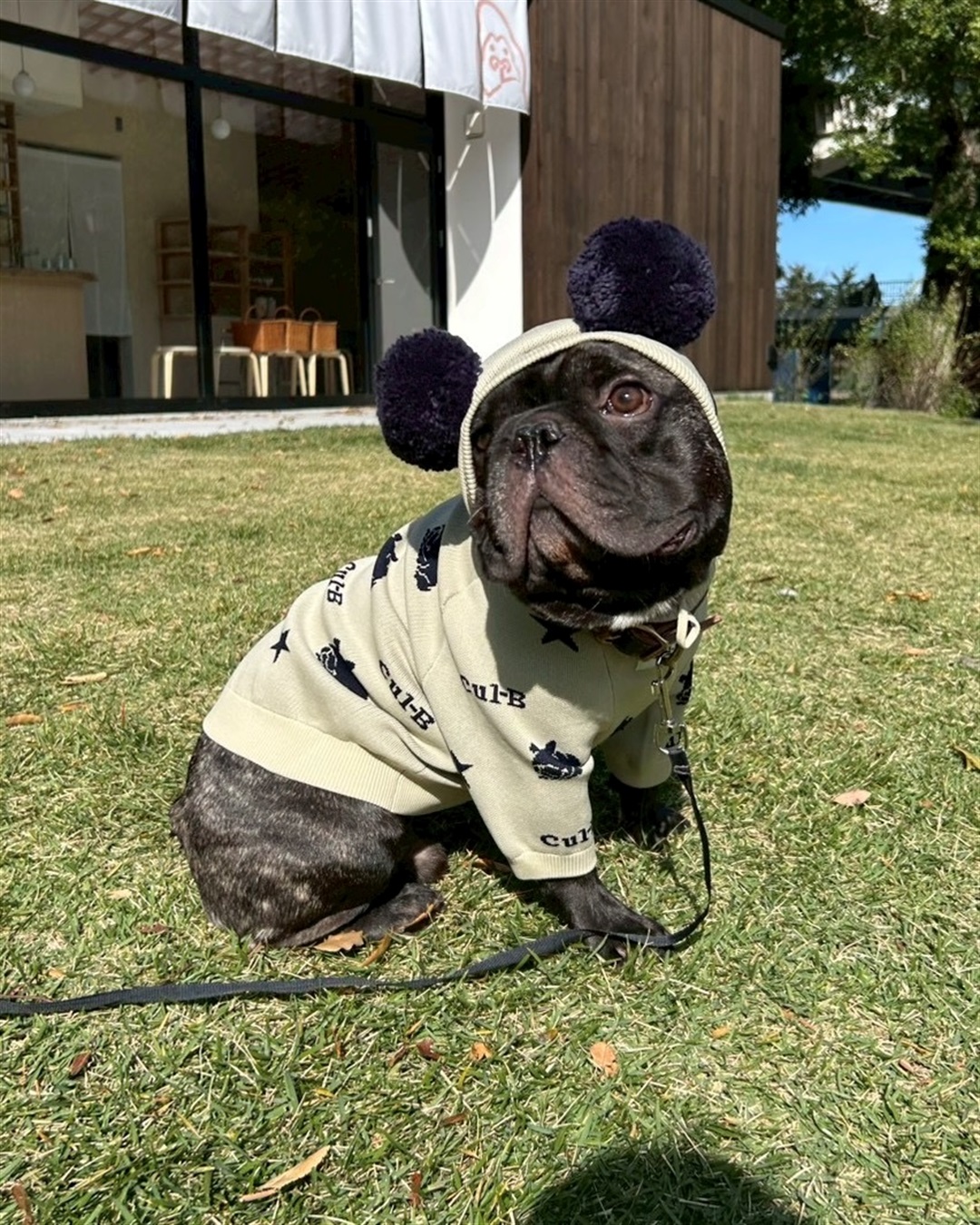 Life Style by cross marche 【for dogs】総柄ポンポンキャップ　Cul-B/キューブ/愛犬服_sub_6