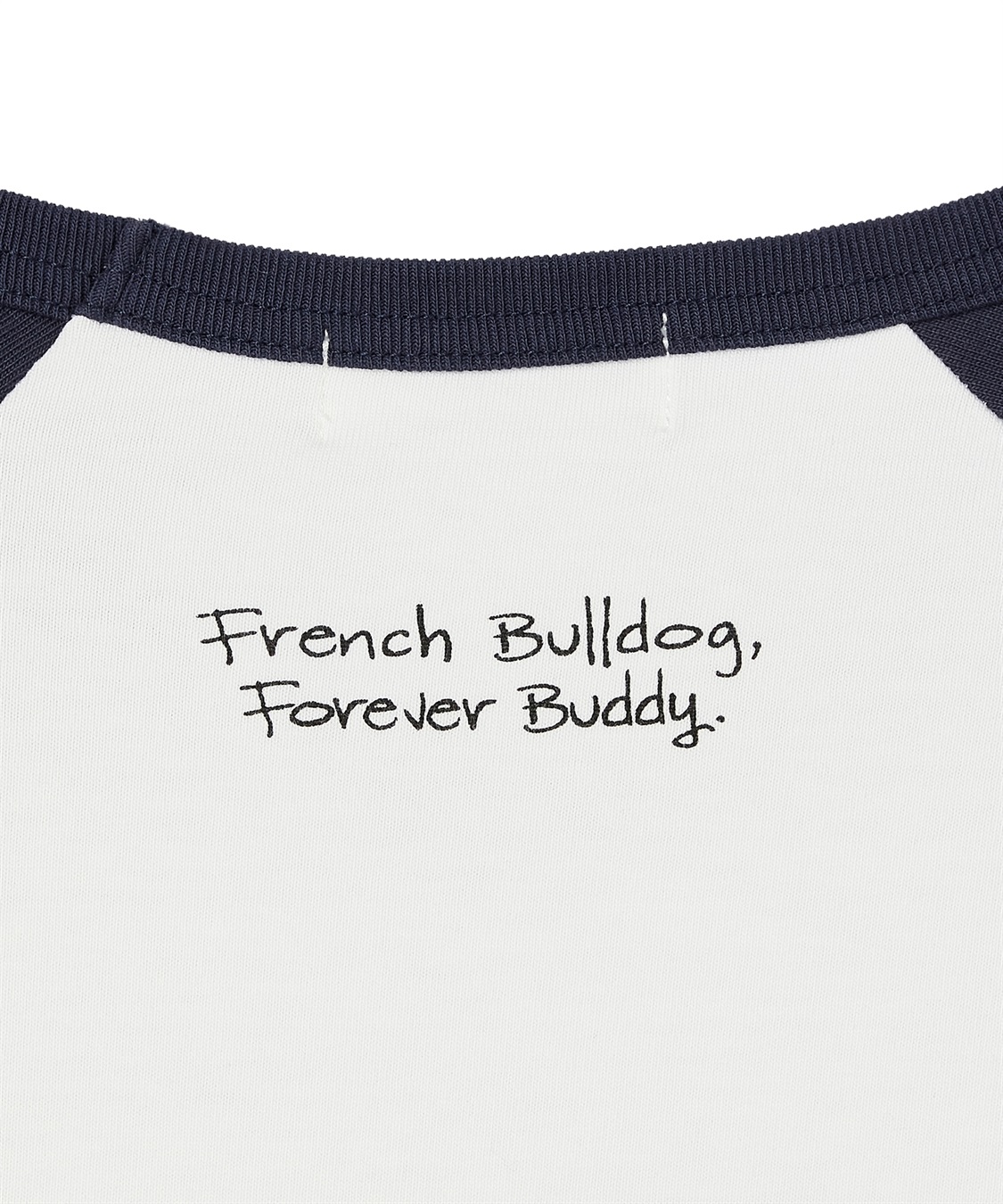 Cul-B 【for owners】　プリントTシャツ（BUHI skull）　Cul-B/キューブ/愛犬_sub_3