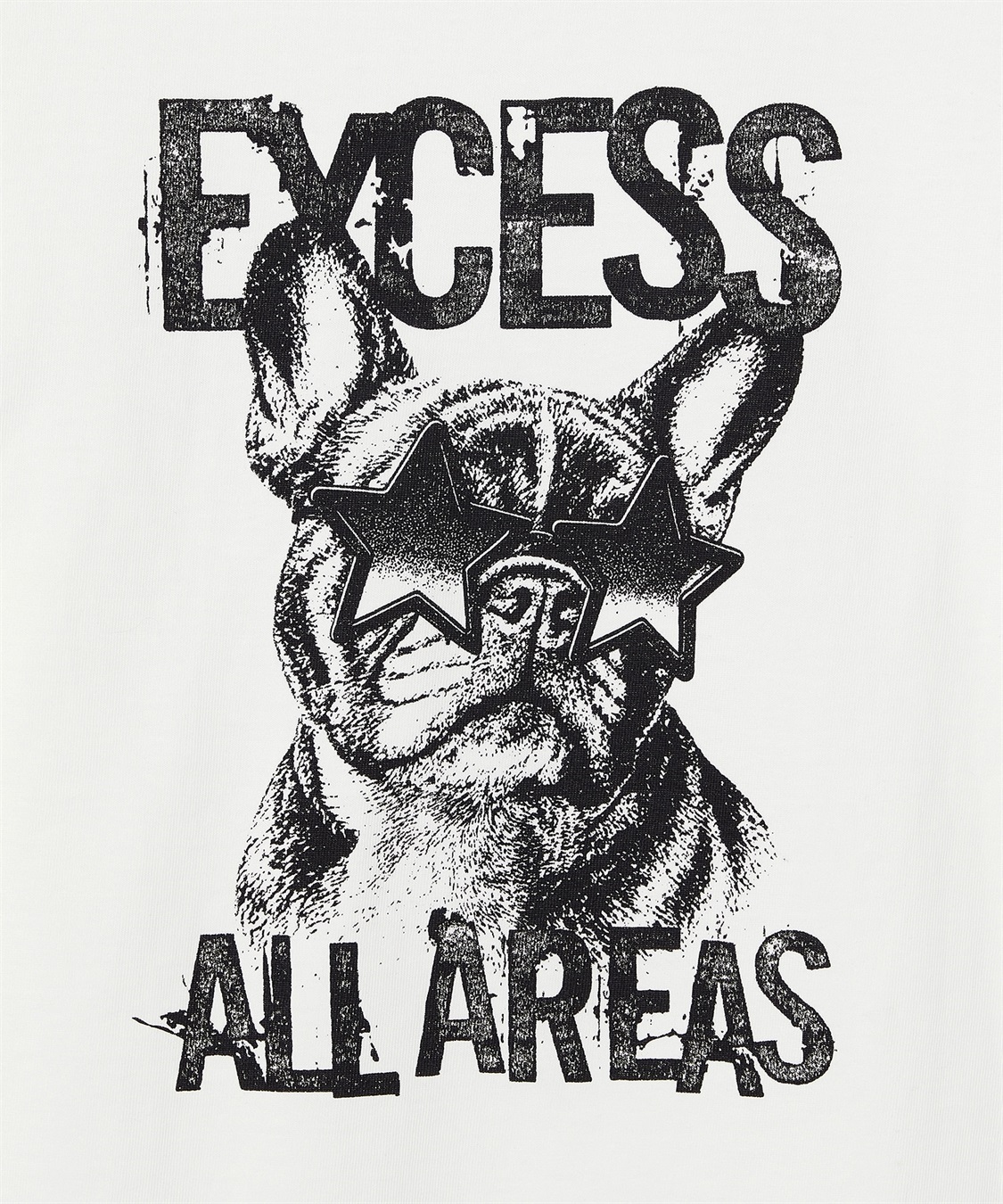 Cul-B 【for owners】　プリントTシャツ（stargrass BUHI）　Cul-B/キューブ/愛犬_sub_6