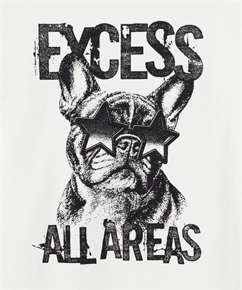 Cul-B 【for owners】　プリントTシャツ（stargrass BUHI）　Cul-B/キューブ/愛犬_subthumb_6