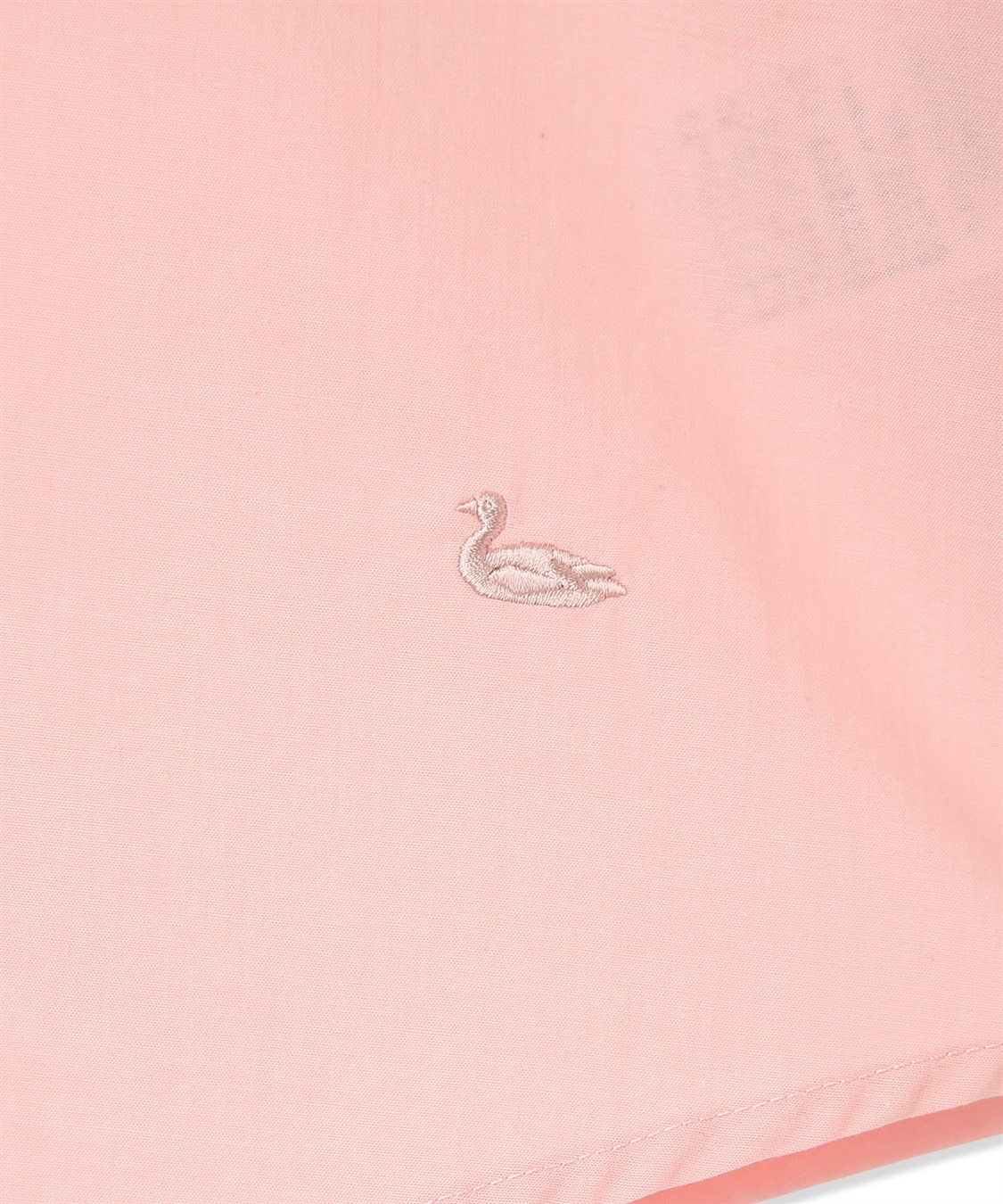 DECOY レギュラーカラーシャツブラウス【綿100％・シワになりにくい】_sub_23