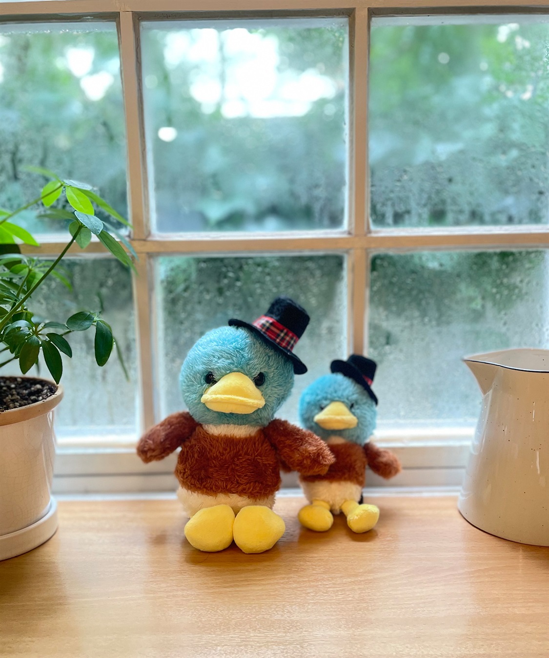 DECOY コイ君ミニぬいぐるみ_sub_2