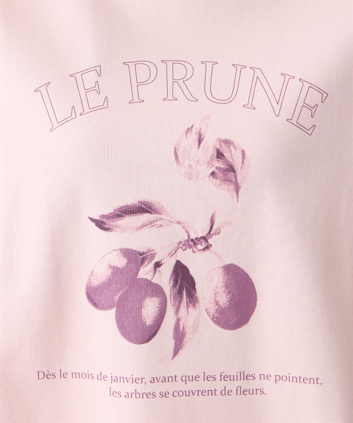 Petit Honfleur ビンテージ風フルーツTシャツ【オーガニックコットン】【UVカット・接触冷感】_sub_16