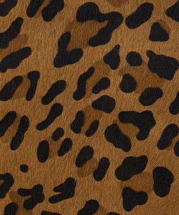 49AV JUNKO SHIMADA 【CHRISTMAS SALE】レオパード柄トートバッグ_subthumb_17