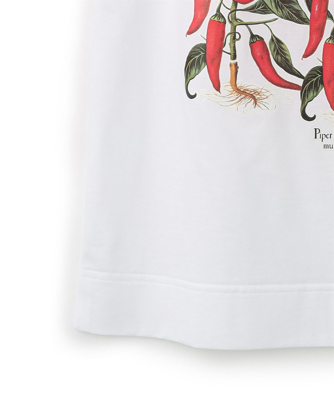 49AV JUNKO SHIMADA 【TIME SALE】プラントプリント柄Tシャツ_sub_4