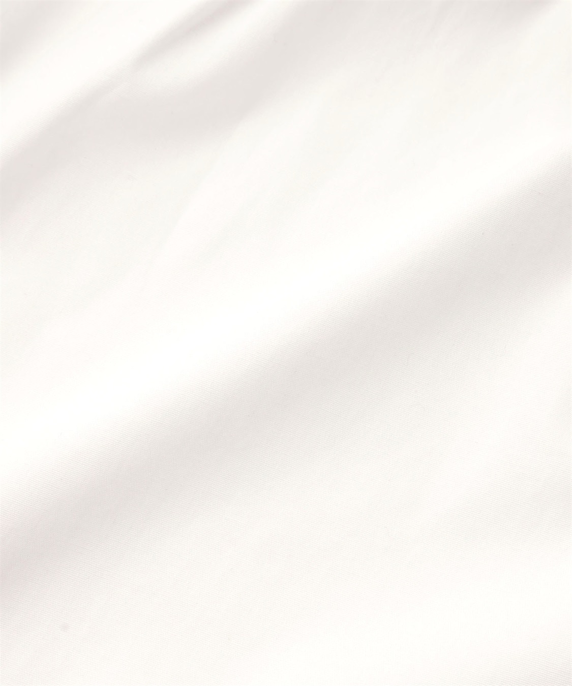 anyfee 【anyfee/プラスサイズ】パールボタン付け襟_sub_26