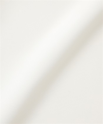 anyfee 【anyfee/大きいサイズ】ピーチサテン風ピンタックブラウス《セレモニー/オケージョン》_subthumb_26