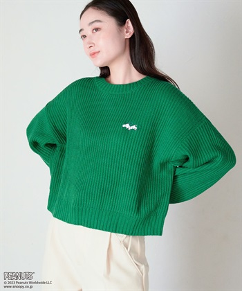 chara station 【ピーナッツ/PEANUTS】スヌーピービック刺繍ニットプルオーバー_subthumb_19