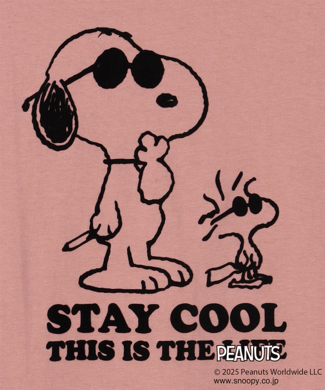 chara station 【PEANUTS/ピーナッツ】SNOOPY/スヌーピー＆ウッドストックフロッキープリントTシャツ_sub_25