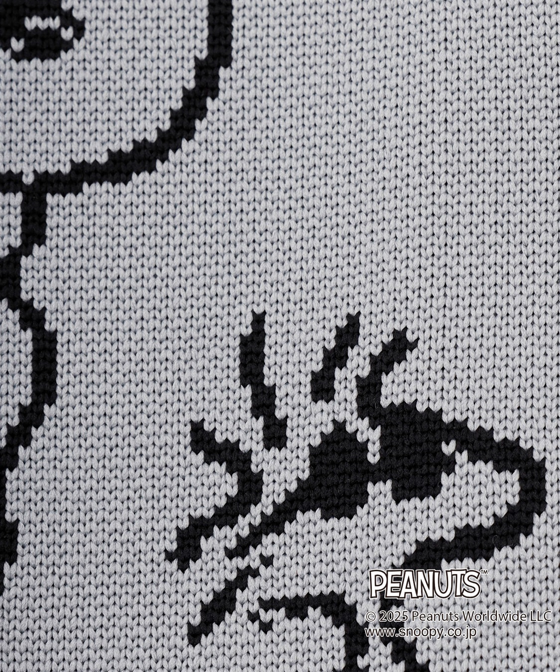 chara station 【PEANUTS/ピーナッツ】スヌーピー&ウッドストック　マルシェニットトートバッグ_sub_24