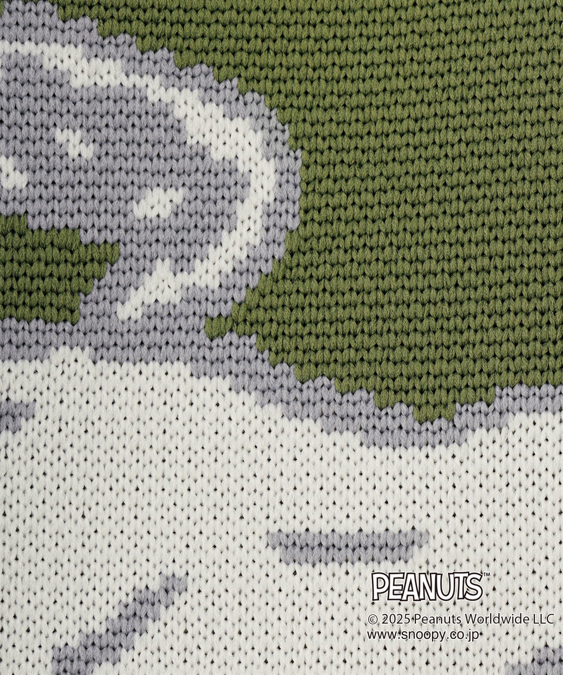 chara station 【PEANUTS/ピーナッツ】SNOOPY/スヌーピー ミニトートバッグ_sub_20