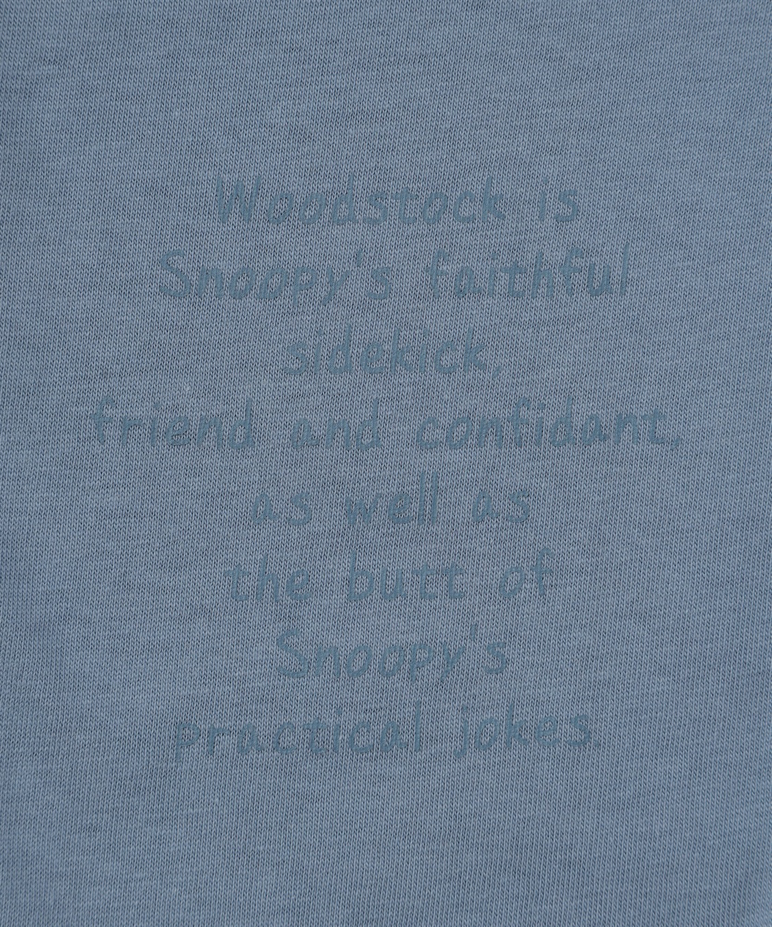 chara station 【PEANUTS/ピーナッツ】スヌーピー/SNOOPY スリーブ刺繍デザインロンT_sub_28