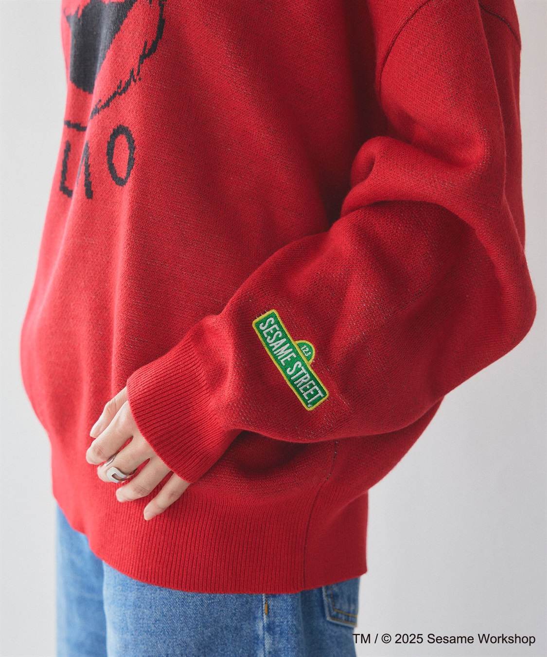 Life Style by cross marche 【セサミストリート】エルモ/ELMOジャガードニット《SESAME STREET》_sub_24