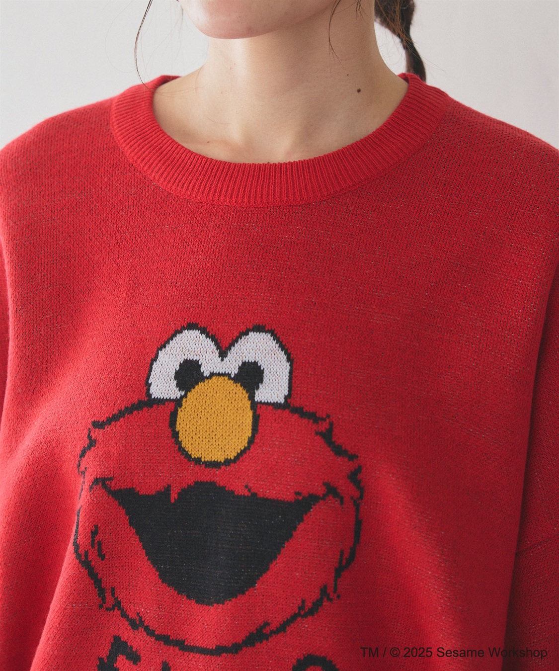 Life Style by cross marche 【セサミストリート】エルモ/ELMOジャガードニット《SESAME STREET》_sub_26