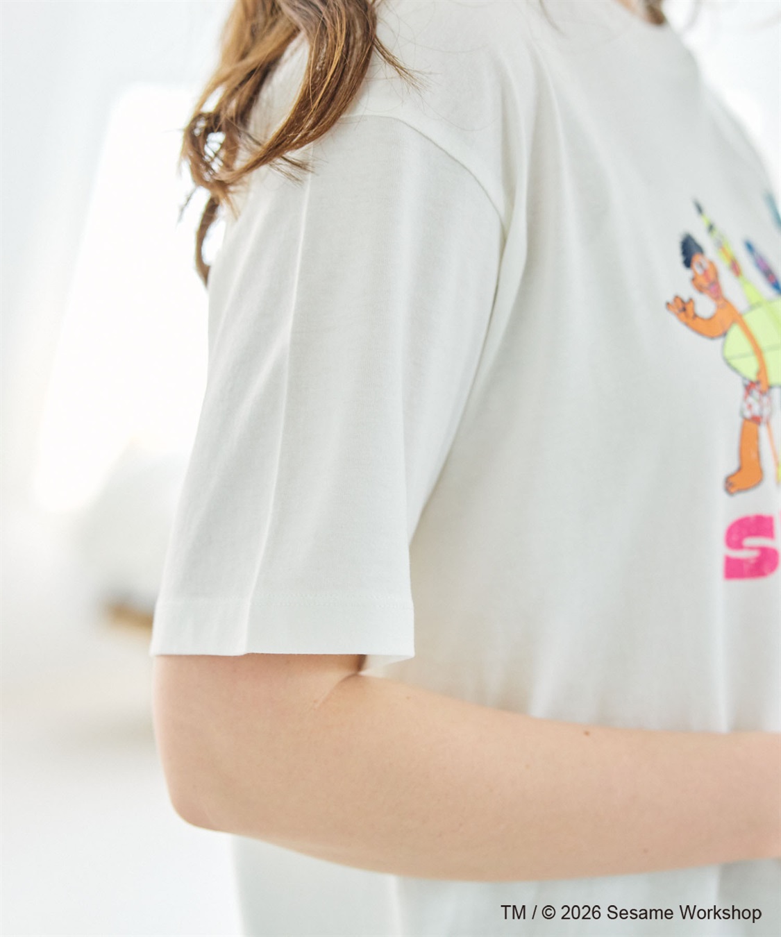 chara station 【セサミストリート/SESAME STREET】サーフフォトプリントTシャツ（ELMO＆FRIENDS）_sub_20