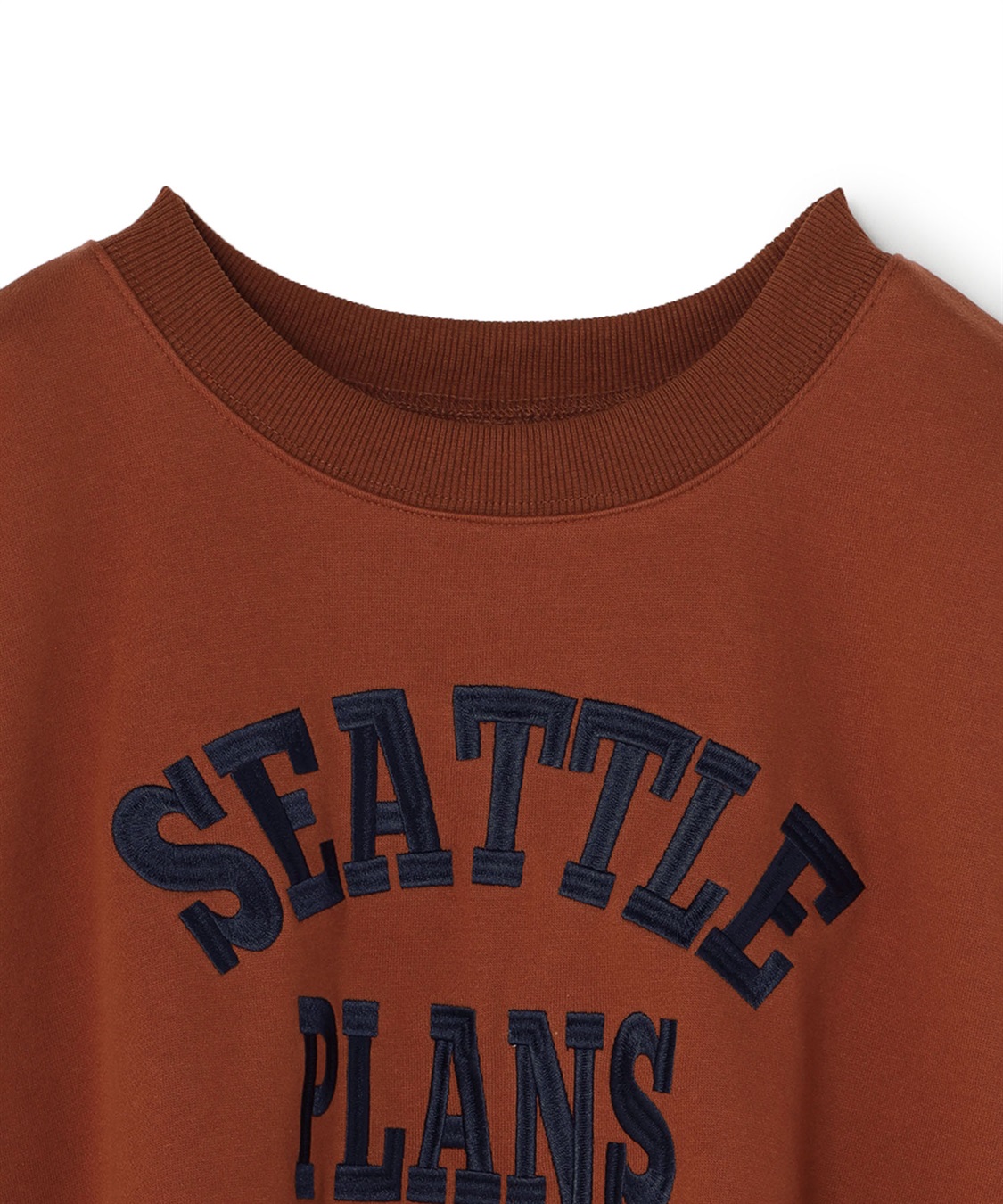 Life Style by cross marche 【anyfee/プラスサイズ】ビッグシルエット裏毛ロゴ刺繍プルオーバー_sub_25