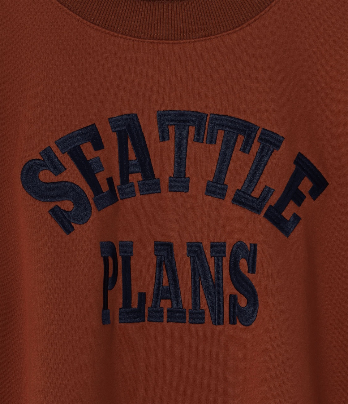 Life Style by cross marche 【anyfee/プラスサイズ】ビッグシルエット裏毛ロゴ刺繍プルオーバー_sub_28