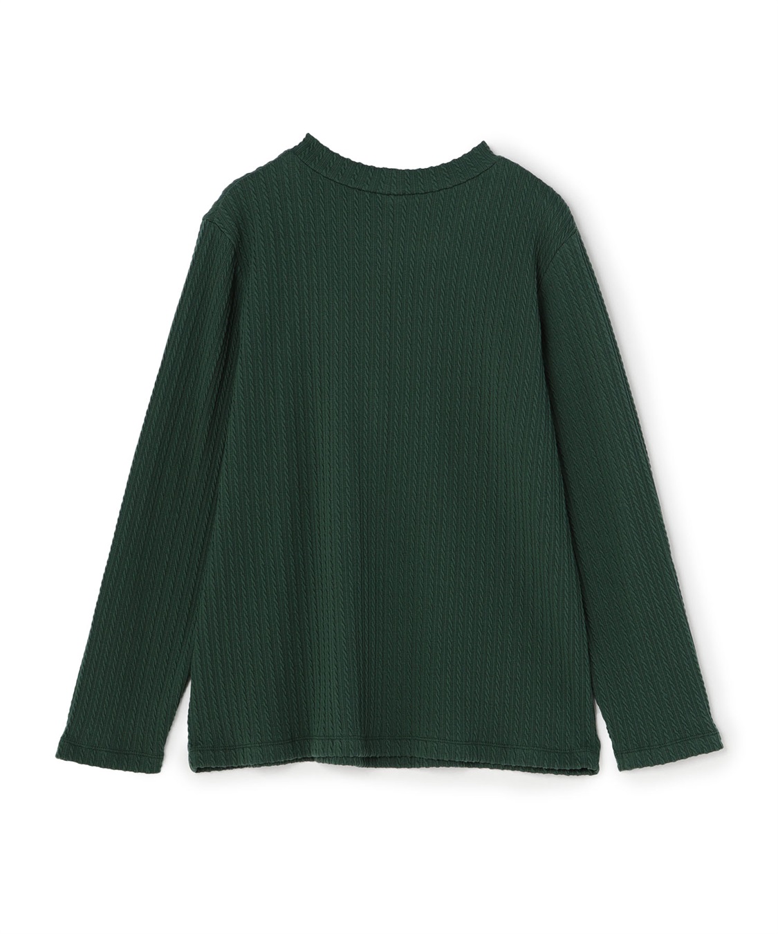 anyfee 【anyfee/プラスサイズ】プチハイネックTシャツ_sub_25