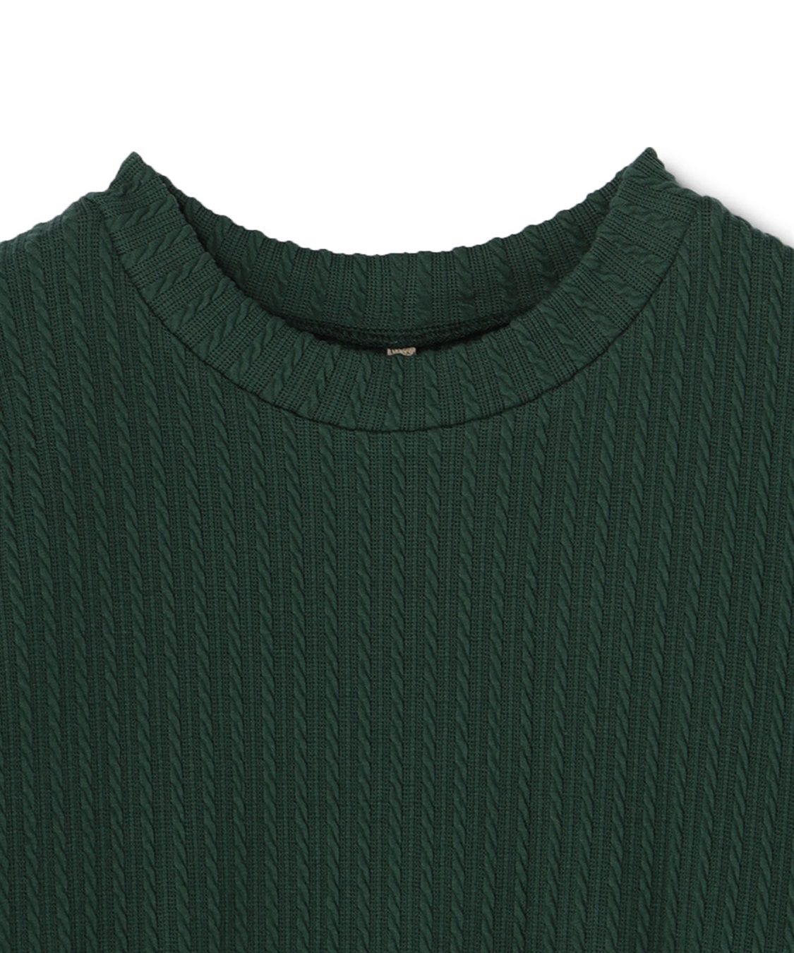 anyfee 【anyfee/プラスサイズ】プチハイネックTシャツ_sub_26