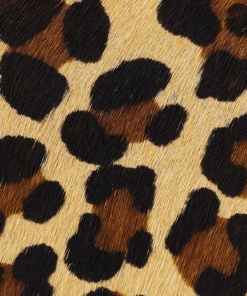 ATS ハラコショルダーバッグ_subthumb_14