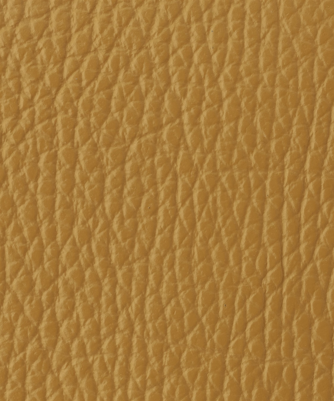 ATS バナナサコッシュ_sub_6