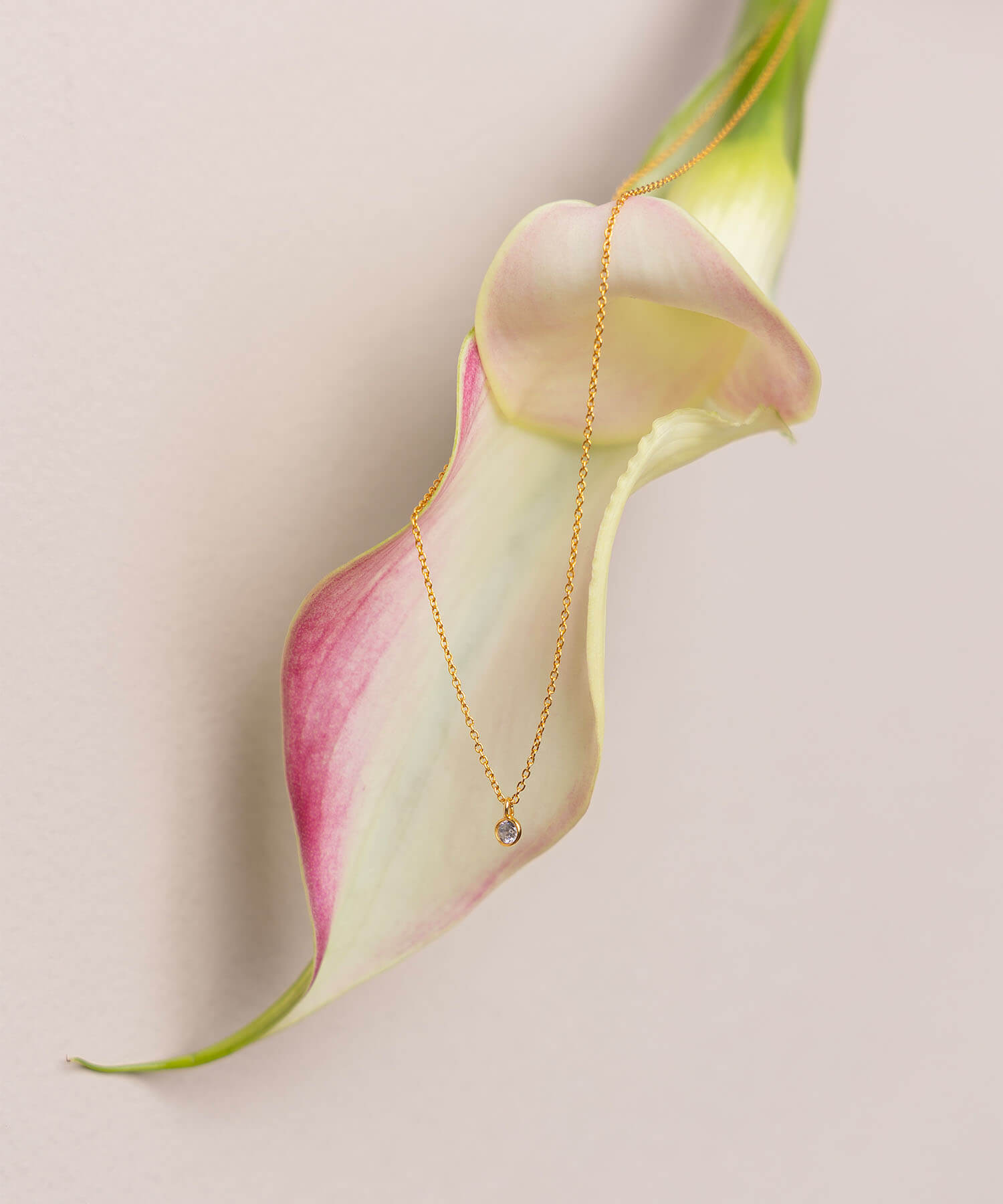 【別注】odul SMALL CIRCLE NECKLACE