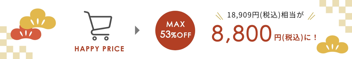MAX53%OFF 18,909円(税込)相当が8,800円(税込)に！