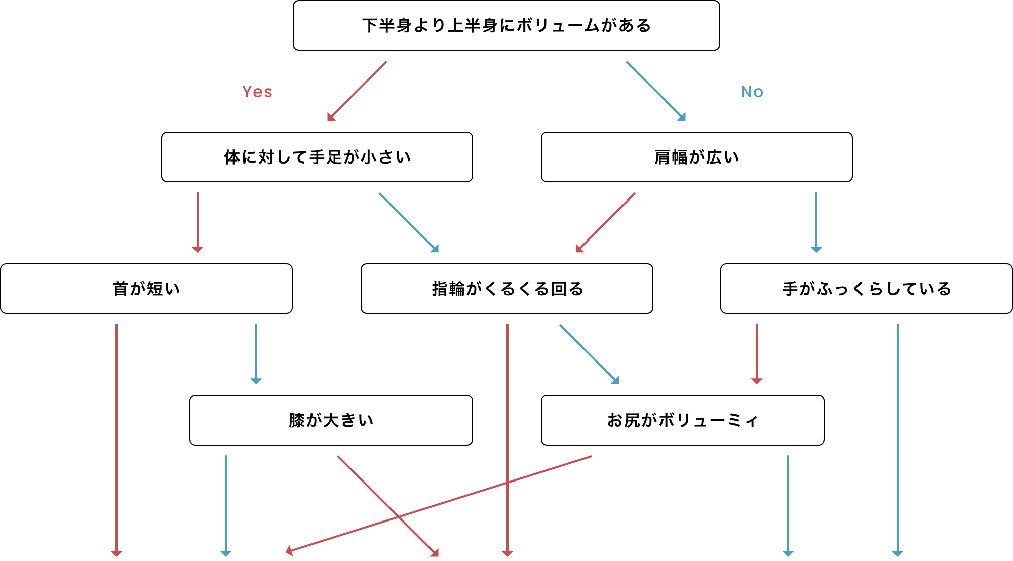 骨格診断チャート