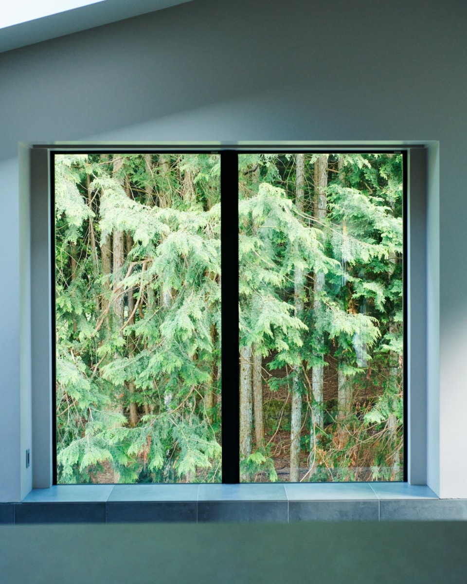 建物の窓から見える雑木林の写真