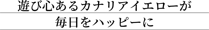 遊び心あるカナリアイエローが毎日をハッピーに