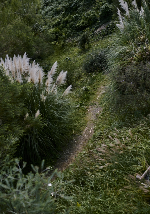 自然のコンセプト画像